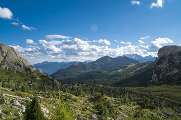 Obraz premium Alpine valley with meadows and fir trees in the Dolomite region of northern Italy