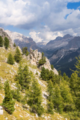 Alpine valley with meadows and fir trees in the Dolomite region of northern Italy