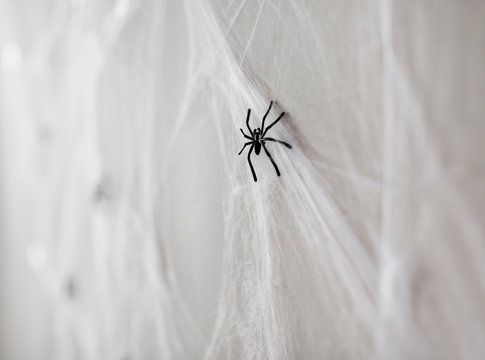 Halloween Decoration Of Black Toy Spiders On Web