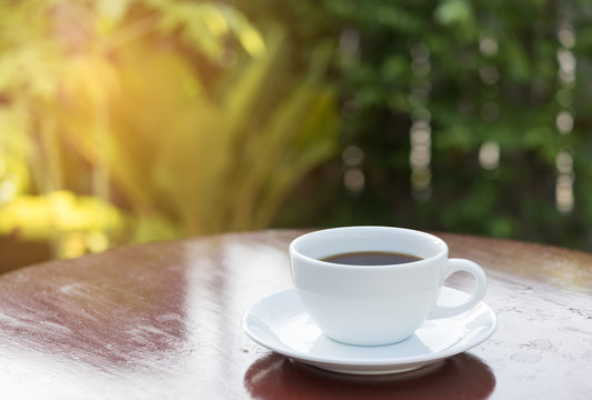 Coffee cup in morning sun light with green garden background