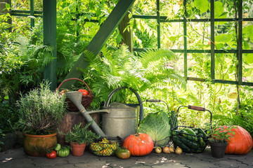 Rural harvest in the garden with vegetables and fruits © shaiith