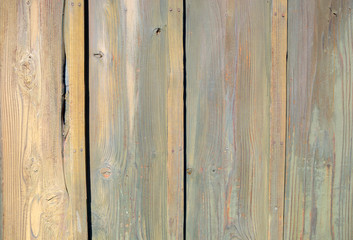 Obraz premium wood texture