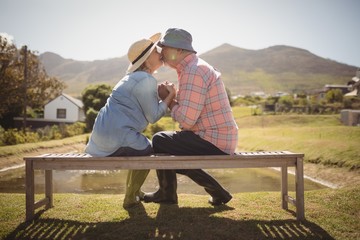 Senior couple kissing each other while sitting on a bench in - Powered by Adobe