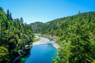 Naklejka na ściany i meble The incredible clear waters of Redwood Creek that runs through Redwood National Park.