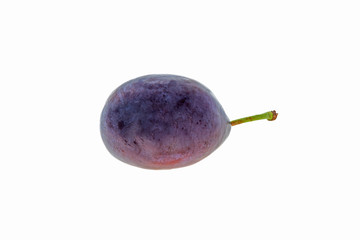 Blue plum on white background