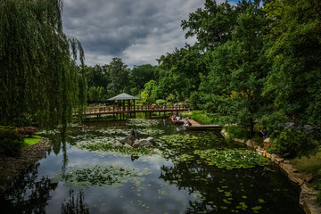 Fototapeta na wymiar Japanese garden in Wroclaw city, Poland