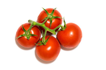 Vegetables: Tomato Isolated on White Background