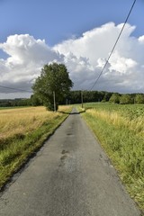 Fototapeta na wymiar Petite route secondaire de campagne vers l'un des bois devant un nuage d'orage ,au Périgord Vert
