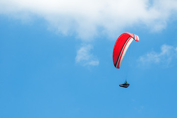 The paraglider flies in the sky on a sunny summer day.