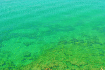 Fototapeta na wymiar Sea water background; abstract green background.