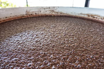 Naklejka premium Harvest