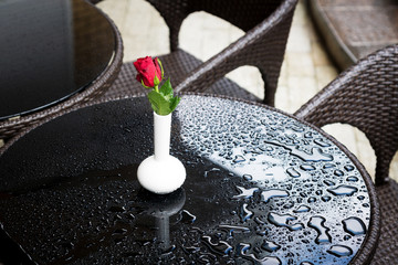 red rose in a white vase is on the table in a cafe covered with drops after rain