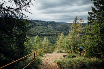 Wald Lichtung mit Ausblick auf die Harzer Berglandschaft