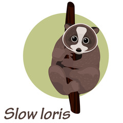 Cartoon slow loris on a tree vector illustration.