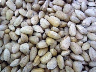unshelled almonds