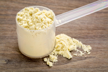 measuring scoop of whey protein powder