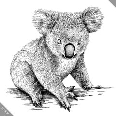 black and white engrave isolated Koala vector illustration © Turaev