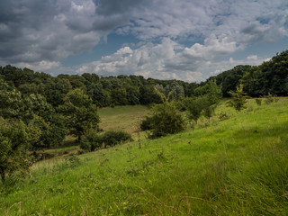 Obraz premium wild meadow in a valley in the middle of the forest