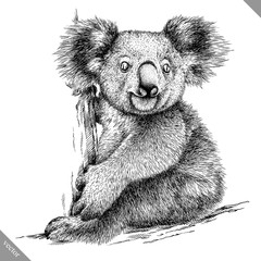 black and white engrave isolated Koala vector illustration © Turaev