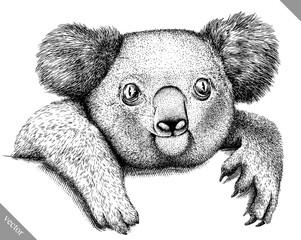 black and white engrave isolated Koala vector illustration