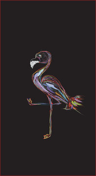 Abstract flamingo from colored lines on a black background