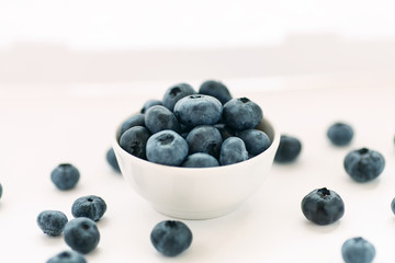 Blueberries in a white ceramic bowl on a white background