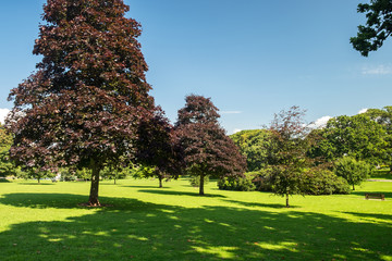 beautiful walk in the park