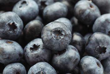 Macro shot of many ripe fresh blueberries