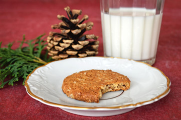 Cookie and milk for Santa Claus