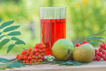 autumn healing drink, apples and berry of the mountain ash.