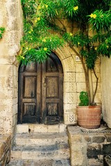 Fototapeta na wymiar old door with a flowering tree