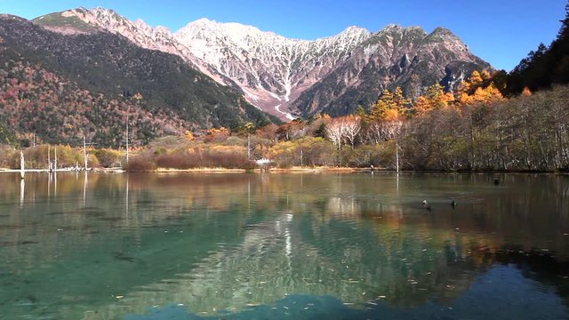 秋の上高地、大正池と穂高連峰