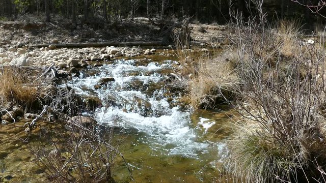 Stream in Sierras de Cazorla, Segura y Las Villas Natural Park