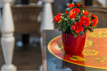 Fresh summer flowers in pot on wooden table. Still life photo.