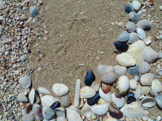 Banner, border, frame with seashells on sand at a summer beach. Sea summer vacation, time for holiday. Variety of sea shells, sand as background with space for the text. Top view. Marine life.