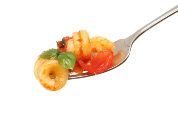 Trottole pasta ona fork