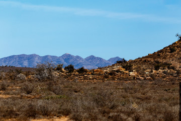 Fototapeta na wymiar Landscape of Dry Bushes with mountains
