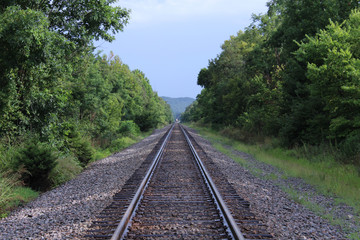 Fototapeta na wymiar Old Train Tracks Fading Off Into the Far Distance