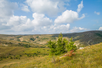 Fototapeta premium Rocky mountain landscape in Crimea, Russia