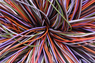 Electrical Colorful Cables and Wires Background