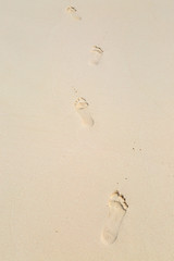 Footprints in the Sand