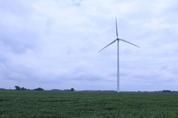 Windmills on the Skyline of Farms in America