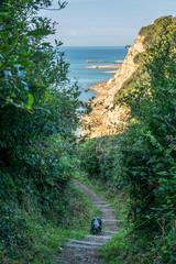 From Ecclesbourne Glen across blue sea English Channel site of proposed marina development to Hastings' beach