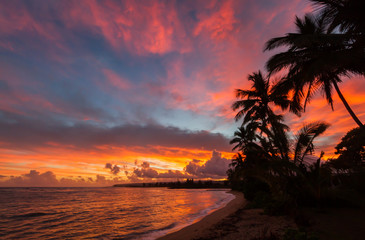 North shore Oahu Tropical Sunrise - 169974991