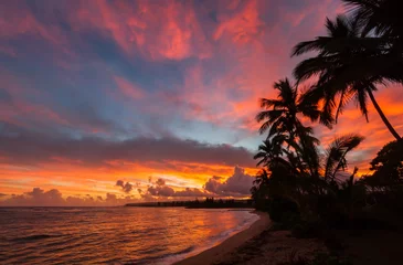 Fototapeten North shore Oahu Tropical Sunrise © Kelly Headrick