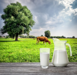 Glass and jug of milk against background of cow and pasture - 169976760