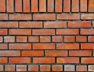 Front view of Orange Brown Colored Terracotta Bricks Wall, for Background, Banner, Texture 