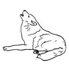Howling wolf. Black animal contour isolated on white background. Wild wolf character, forest animals, predator. Hand drawn mammal illustration for logo, clip art, tattoo, prints, design, posters.