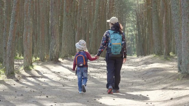 Sports family travels through  forest. A young mother of a tourist with a backpack leading her children through a forest road. Family travel together, hiking outdoors on nature.