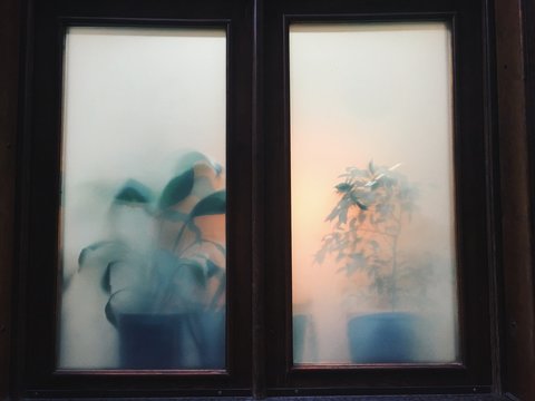 Through the window